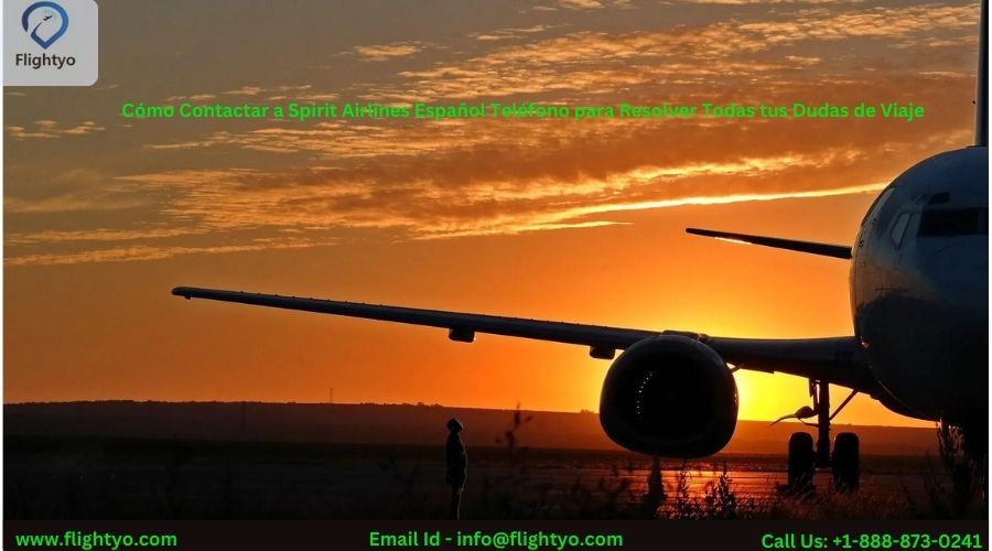 Cómo Contactar A Spirit Airlines Español Teléfono Para Resolver Todas Tus Dudas De Viaje